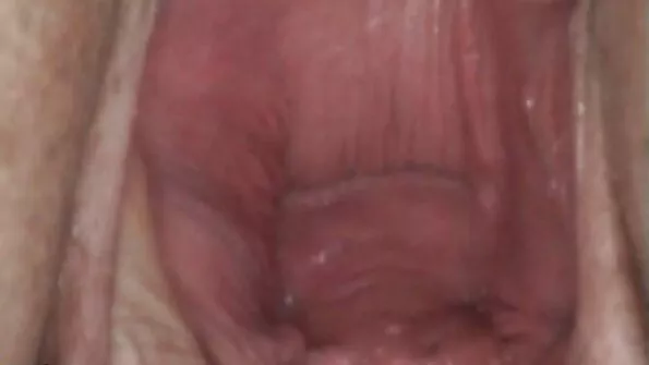 Porn in the City аматьорски клипове (Порно в големия град). Филм.